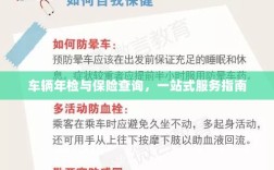 车辆年检与保险查询，一站式服务详解