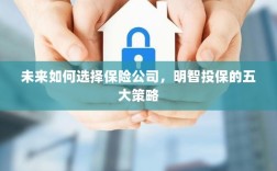 未来如何选择保险公司，五大明智投保策略指南