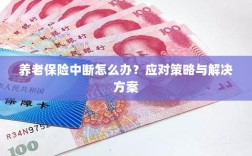 养老保险中断应对指南，解决方案与策略全解析