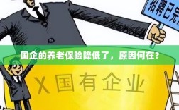 国企养老保险降低的原因探究