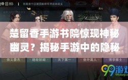 楚留香手游书院惊现神秘幽灵？揭秘手游中的隐秘事件。