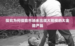 探究保险市场未出现大规模大金险产品的原因