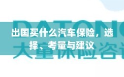 出国购车保险指南，选择、考量与推荐方案