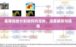离婚保险分割深度解析与指导，约定要点及操作流程