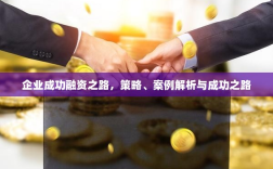企业成功融资之路，策略、案例解析与成功之路