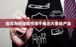 保险市场为何不推出大金险产品探究