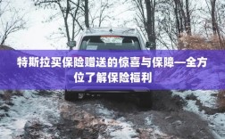 特斯拉买保险赠送的惊喜与全方位保障福利解析