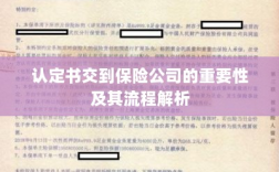 认定书交到保险公司的流程解析与重要性探讨