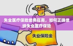 失业医疗保险缴费详解，正确缴纳失业医疗保险的步骤与指南