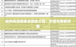如何向法院追诉保险公司，详细步骤与策略指南
