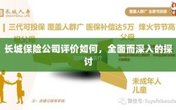 长城保险公司评价深度解析，全面探讨其表现与优势