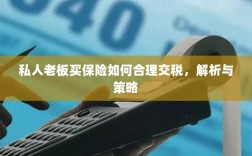 私人老板如何合理购买保险并交税，解析与策略指南