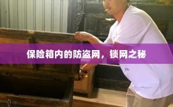 保险箱内的锁网之秘，防盗网的安全解密
