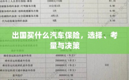 出国购车保险指南，选择、考量与决策攻略