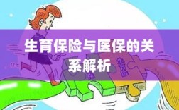 生育保险与医保关系深度解析