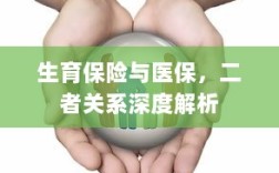 生育保险与医保的关系深度探讨与解析