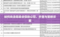 如何向法院追诉保险公司，详细步骤与策略指南