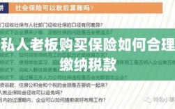 私人老板购买保险如何合理缴税，策略与指南