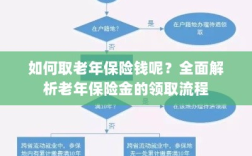 全面解析，老年保险金的领取流程与如何领取老年保险金
