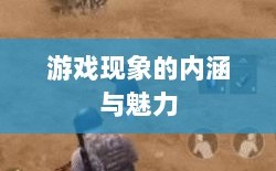 棒子手游，深度探究游戏现象的魅力与内涵