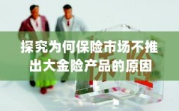 探究保险市场未推出大金险产品的原因分析