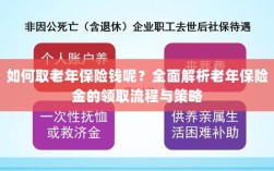 全面解析，老年保险金的领取流程与策略指南