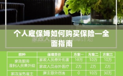 个人雇保姆保险购买指南，全面解析购买保姆保险的步骤与注意事项