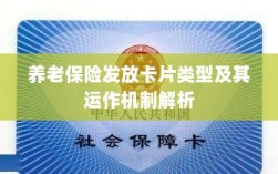养老保险发放卡片类型与运作机制深度解析