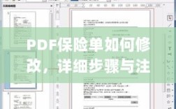 PDF保险单修改指南，步骤与注意事项全解析