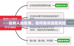 投资人视角，解析保险风险的重要性与应对策略