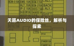 天籁AUDIO保险丝解析与探索