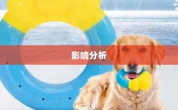 手游中宠物购买的可能性及其影响分析