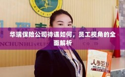 华瑞保险公司员工待遇全面解析，员工视角透视公司福利待遇