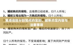 离婚保险分割的约定内容与注意事项解析