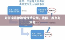 追诉保险公司指南，流程、要点与策略全解析