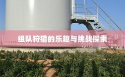 狩猎原野手游，组队狩猎的乐趣与挑战探索