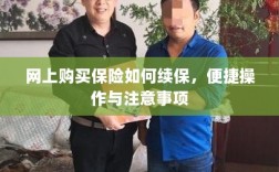 网上保险续保攻略，便捷操作及注意事项