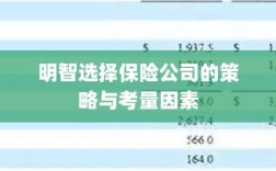 明智选择保险公司的策略及考量要素解析