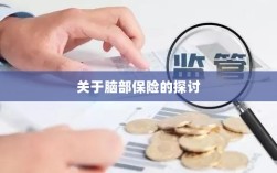 脑部保险，深度探讨与解析