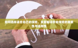 全面解读保险种类，如何选择适合自己的保险及其重要性与适用性