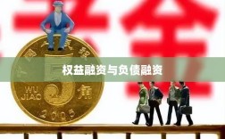 权益融资与负债融资，企业筹资路径的探讨与比较