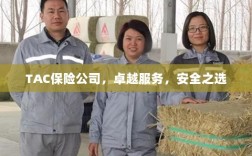 TAC保险公司，卓越服务，信赖的安全之选