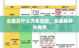 全面解析与推荐，出国应该购买哪些汽车保险？