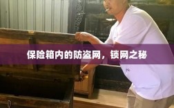 保险箱内的锁网之秘，防盗网的安全解密