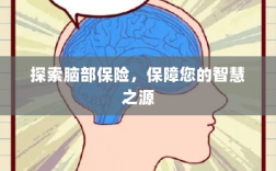 探索脑部保险，守护智慧之源的保障之道