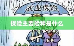 保险主要险种简介与概述