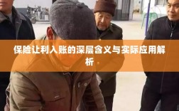 保险让利入账深度解读，含义、应用与实效解析