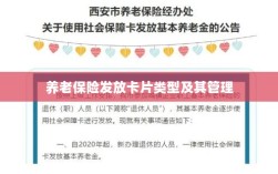 养老保险卡片类型与管理概述