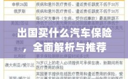 全面解析与推荐，出国应该购买哪些汽车保险？