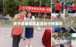 养老保险发放卡种深度解析